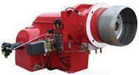 Đầu đốt 02 nhiên liệu dầu Diesel và Gas dòng HS